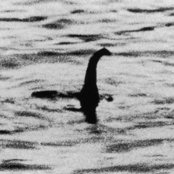 nessy